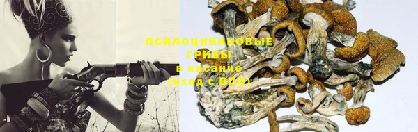MESCALINE Карталы
