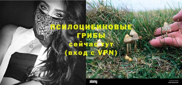 шишки Касимов
