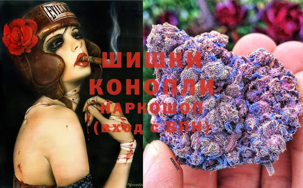 шишки Касимов