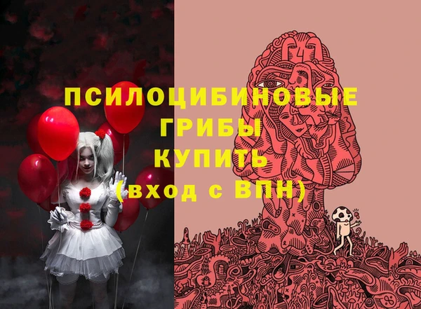 шишки Касимов