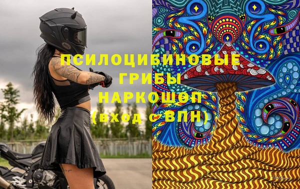 шишки Касимов